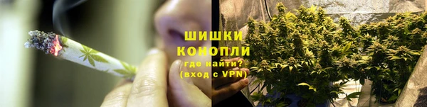 ешки Новозыбков